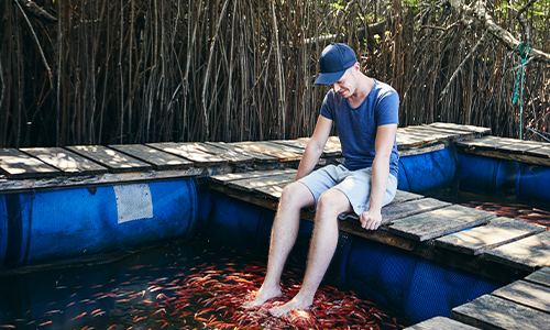 Fish Therapy and Foot Reflexology