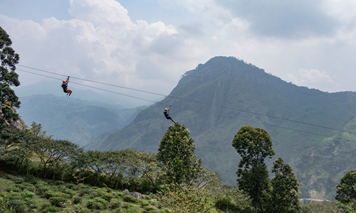 Zip Lining Through Forest Canopies